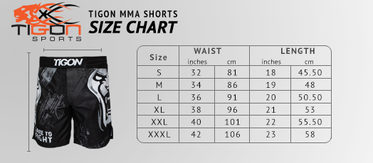 Samurai Warrior - Miura Evo 2.0 MMA Fight Short